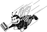 Friendly Bee